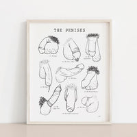 Meli The Lover - 8.5" by 11" Art Print: The Penises