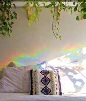 PK - Suncatcher Decal Sticker (Makes Rainbows): Cat