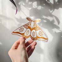 PK - Suncatcher Decal Sticker (Makes Rainbows): Moth
