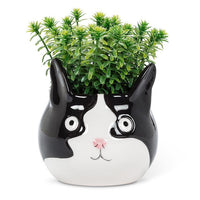 ABB - Ceramic Character Planter: Large Black & White Cat