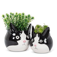 ABB - Ceramic Character Planter: Large Black & White Cat