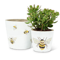 ABB - Small Cement Planter: Flying Bee