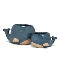 ABB - Ceramic Character Planter: Small Whale