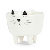 ABB - Small Ceramic Character Planter: White Cat with Legs