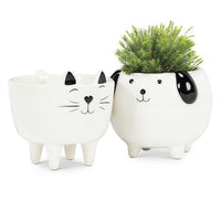 ABB - Small Ceramic Character Planter: White Cat with Legs
