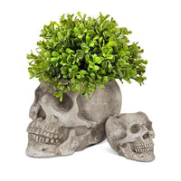 ABB - Small 3" Cement Planter: Skull