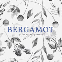 New Scotland Candle Co. - 3oz Candle Botanical Collection: Bergamot