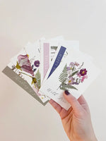 SAB - Set of 6 Note Cards: Mixed Greeting Pack