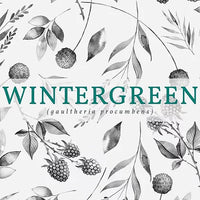 New Scotland Candle Co. - 3oz Candle Botanical Collection: Wintergreen